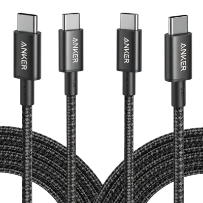 New Nylon USB-C to USB-C 100Wケーブル（10 ft、2本セット）
